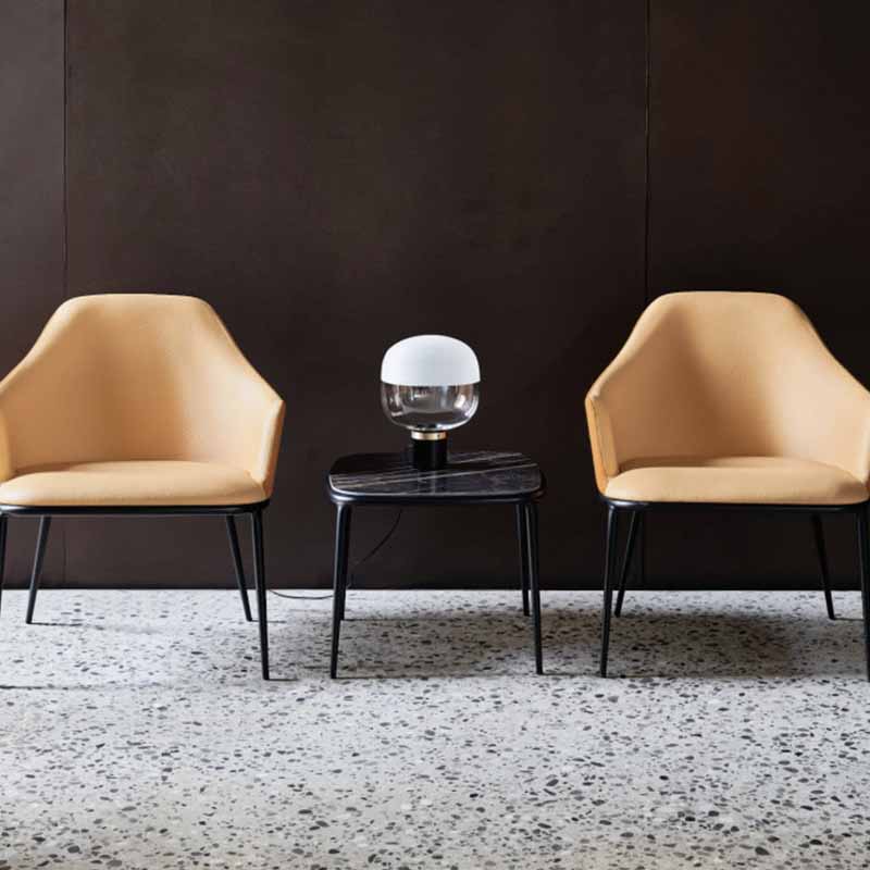 Lea AP M TS Lounge Armchair 扶手椅