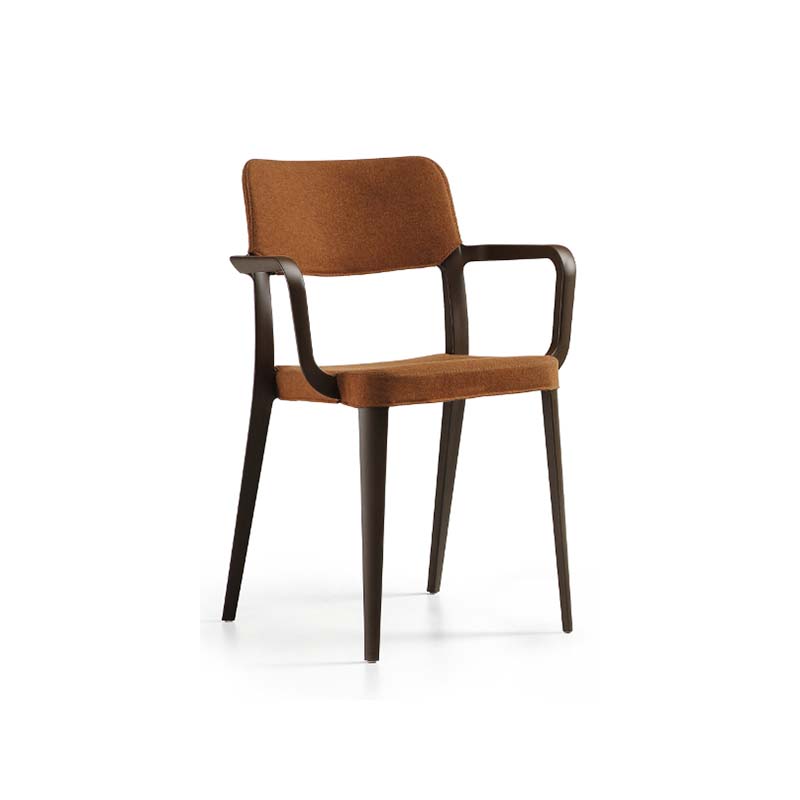 Nenè P PP_TS Armchair 扶手椅